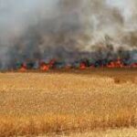 Protection contre les incendies des champs de céréales et des forêts