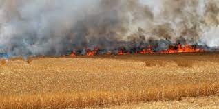 Protection contre les incendies des champs de céréales et des forêts